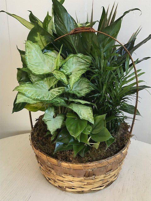 12&quot; Wicker Basket Garden