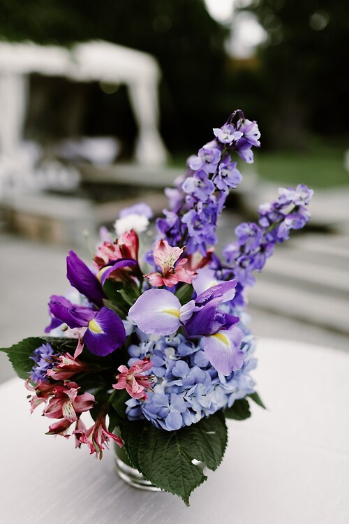 Alejandra and Catherine - Centerpiece