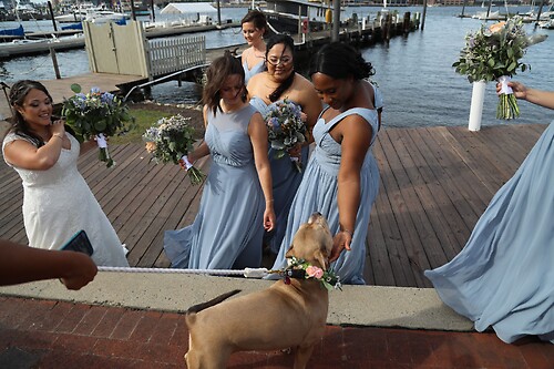 Chin-Schevitz Bridal Party