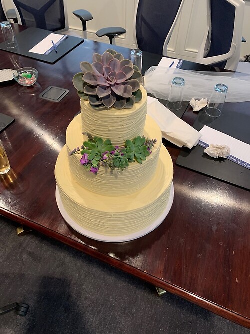 Succulent Cake