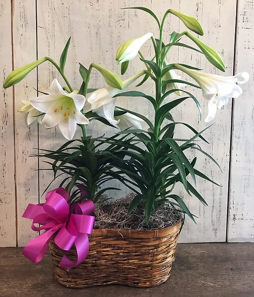 Double Easter Lily Basket