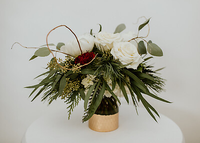 Golden Winter Whites